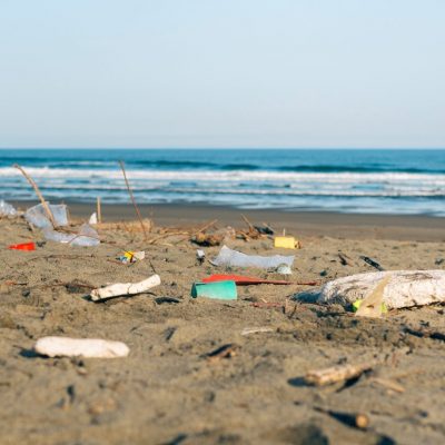 Dirty beach landscape full of waste without people