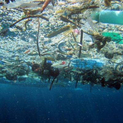 from:marinedebris.noaa.gov